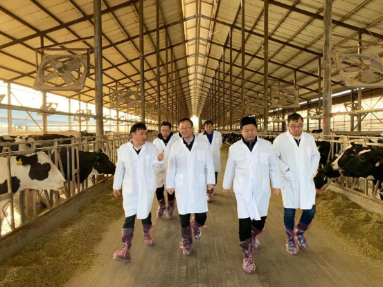 寧夏回族自治區(qū)農(nóng)業(yè)農(nóng)村廳黨組書記、廳長(zhǎng)王剛一行蒞臨花花牛乳業(yè)集團(tuán)調(diào)研